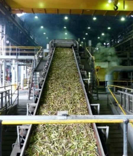 Sugar mill machinery